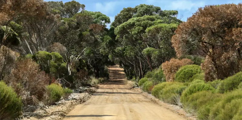 Südaustralien Kangaroo Island Wilderness Trail