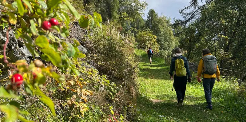 Alpenüberquerung