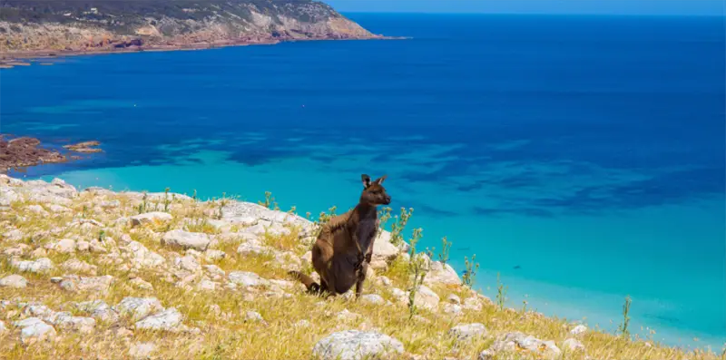 Südaustralien Kangaroo Island Wilderness Trail