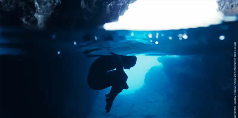 OCEAN FILM TOUR No. 11