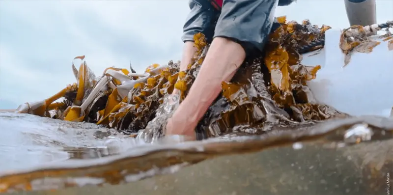 OCEAN FILM TOUR No. 11