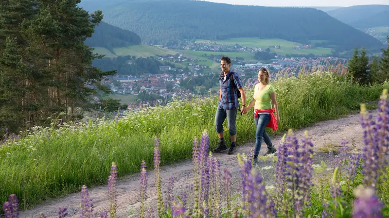 Der OUTSIDEstories-Unterwegstipp: Wandern in Baiersbronn im Nord-Schwarzwald 