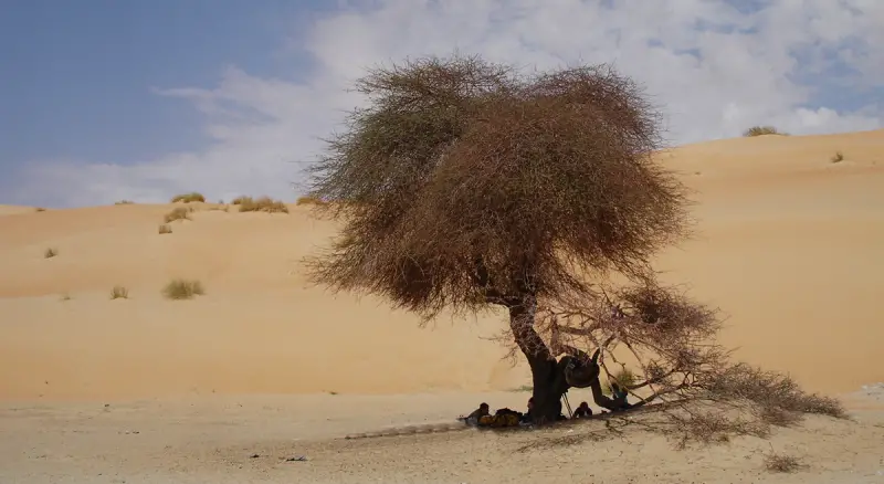 Der OUTSIDEstories-Unterwegstipp: Solo-Sahara-Wüstenwanderung in Mauretanien