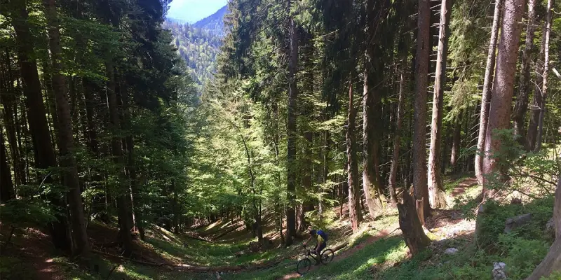 OUTSIDEstories Mountainbike Tour Jachenau Tanner Alm