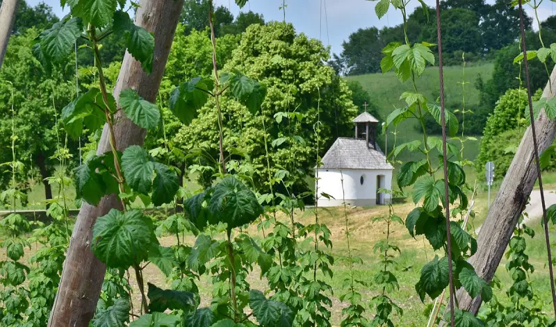 OUTSIDEstories Unterwegs Tipp Wandern Hallertau