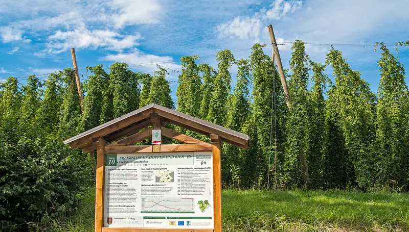 OUTSIDEstories Unterwegs Tipp Wandern Hallertau