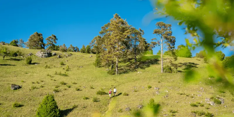 Der OUTSIDEstories-Unterwegstipp: Der Altmühltal-Panoramaweg