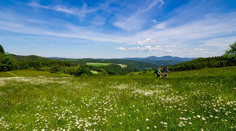 ZweiTälerSteig Etappe 4 Foto ZweiTälerTourismus Patrick Kunkel