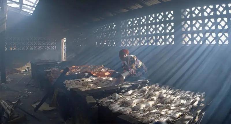  Ocean Film Tour_Stolen Fish