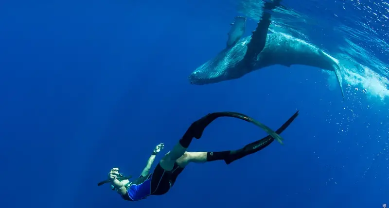 Ocean Film Tour_power of activism_1