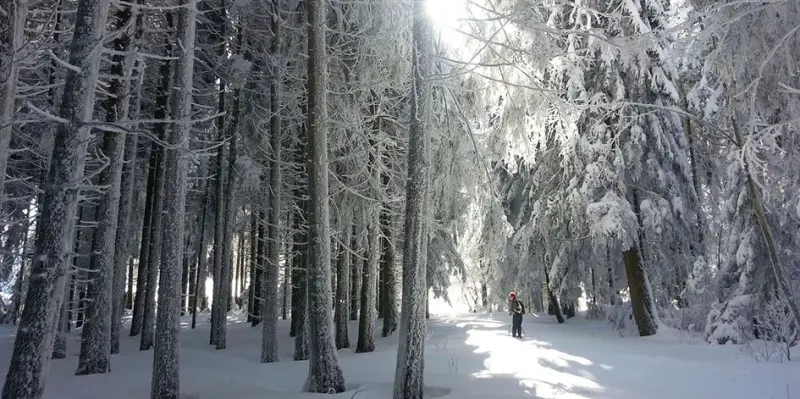 Schneeschuh-Touren Schwarzwald