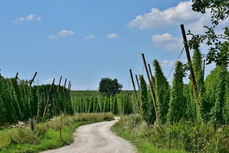 OUTSIDEstories Unterwegs Tipp Wandern Hallertau