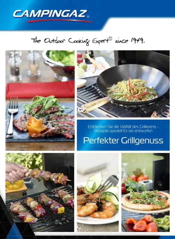 Zum Download der Grill-Rezepte bitte auf das Bild klicken