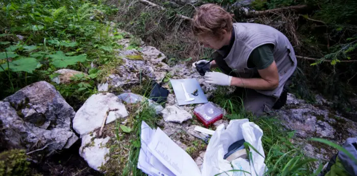 Enrico lebt und arbeitet in den Dolomiten: mit Amphibien