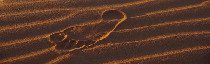 In der Wüste hinterlässt man nur Spuren im Sand und nimmt nur Eindrücke mit.