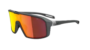 EVIL EYE roadsense - Multisportbrille