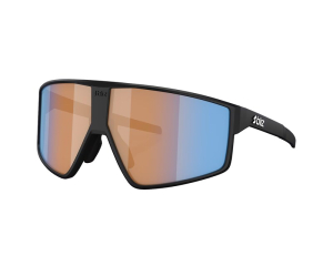 BLIZ P002 - Sportbrille
