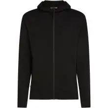 Icebreaker Herren 360 Realfleece Elemental Hoodie Jacke