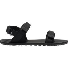 Xero Shoes Damen D-Trail Schuhe