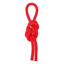 Salewa Red 9.6 Kletterseil