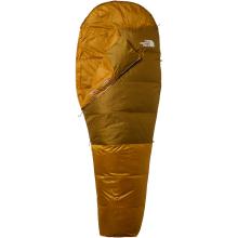 The North Face Gold Kazoo Eco Schlafsack