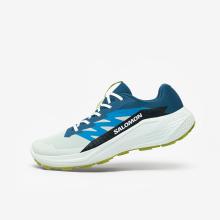 Trailrunningschuhe Herren Salomon - Supraglide grau