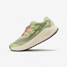 Laufschuhe Gravel-Running Damen Salomon - Aero Blaze 3 Grvl grün
