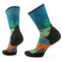 Smartwool - Women's Trail Run Targtd Cush. Mountain Crew Socks - Laufsocken Gr 34-37 bunt