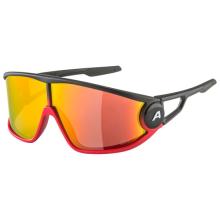 Alpina - Legend Q-Lite Cat. 3 - Sonnenbrille bunt