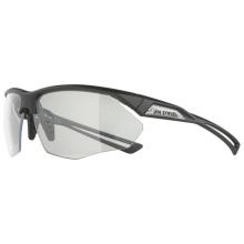 Alpina - Nylos HR S0 - Fahrradbrille grau