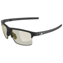 Alpina - Eagle Q-Lite S1 - Sonnenbrille grau
