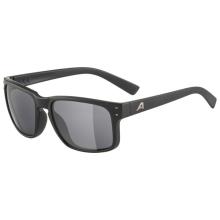 Alpina - Kosmic S3 - Sonnenbrille grau