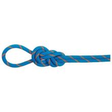 Mammut - 8.0 Alpine Eco Dry Rope - Halbseil Gr 70 m blau/weiß