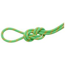 Mammut - 8.0 Alpine Dry Rope - Halbseil Gr 30 m grün