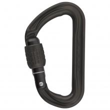 DMM - Phantom - Schraubkarabiner grau/schwarz