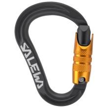 Salewa - Ortles HMS C.3 S Carabiner - HMS-Karabiner grau