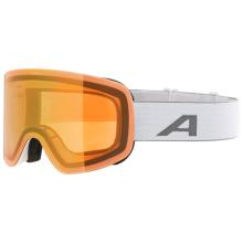 Alpina - Penken Q Mirror S2 (VLT 28%) - Skibrille bunt