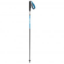 Salomon - Pulsar Carbon - Trailrunning Stöcke Gr 135 cm blau
