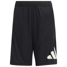 adidas - Kid's Train-Essential Big Logo Shorts - Shorts Gr 116 schwarz