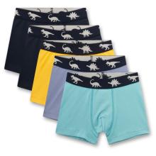 Sanetta - Kid's Set Shorts 337241 - Unterhose Gr 92 bunt