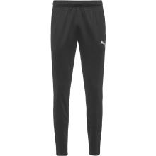 PUMA teamGOAL Trainingshose Herren