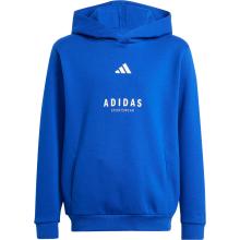 adidas ALLSZN GFX Hoodie Jungen