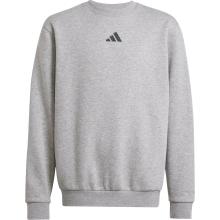 adidas ALLSZN GFX Sweatshirt Jungen