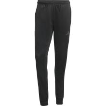 adidas TRAIN ESSENTIALS SEASONALS Trainingshose Herren