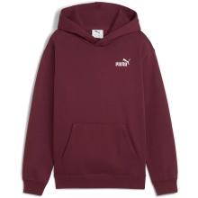 PUMA ESSENTIALS Small Logo Relax Hoodie Jungen