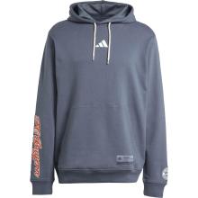 adidas FC Bayern München Hoodie Herren