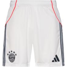 adidas FC Bayern München 25-26 Auswärts Fußballshorts Herren