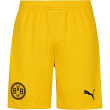 PUMA Borussia Dortmund 25-26 Funktionsshorts Herren