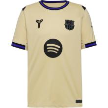Nike FC BARCELONA AWAY Teamtrikot Herren