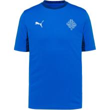 PUMA WM 2026 Island Heim Teamtrikot Herren